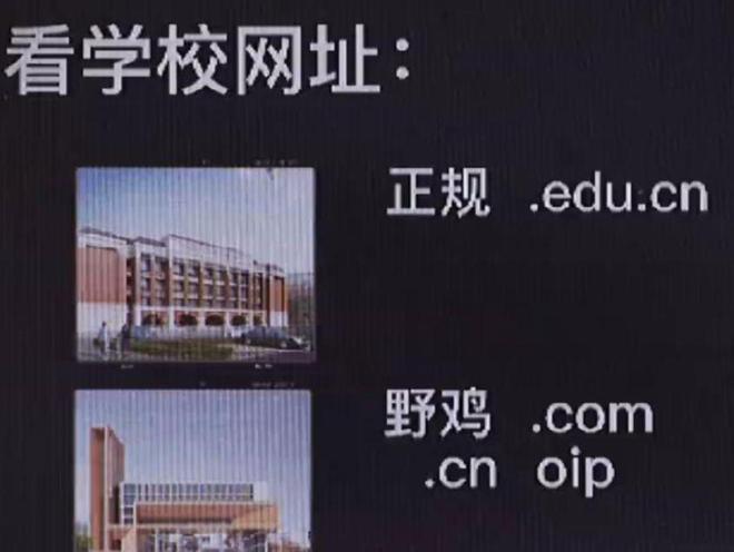 鼎石国际学校学费_鼎石国际学校学费一年_鼎石国际学校招生简章