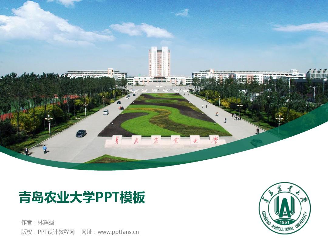 青岛农业大学教务中心_青岛农业大学教务信息网网址_青岛农业大学教务处