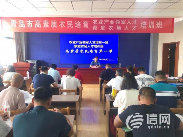 青岛农业教务管理_青岛农业大学教务信息网_青岛农业大学教务处登录