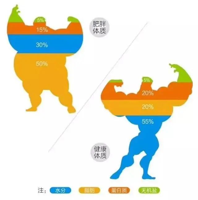教学健康计划教育内容包括_健康教育计划教案_健康教育教学计划