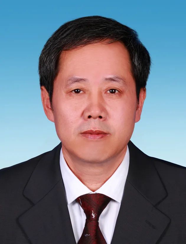 调研员等级划分_调研员等级如何确定_四级调研员是什么级别