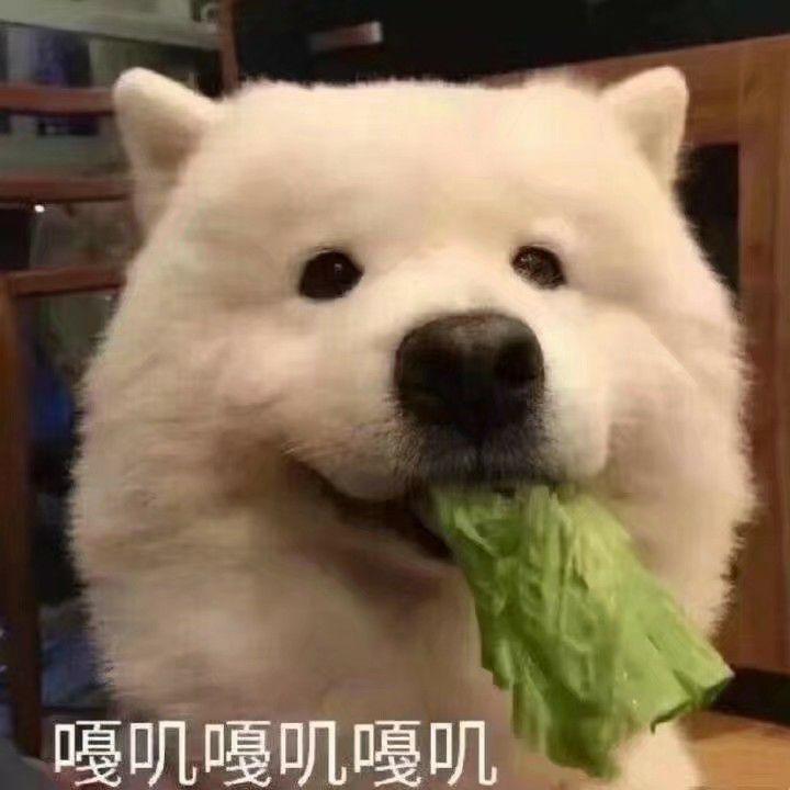 考研分数线降低_2024考研分数线会下降吗_2024考研分数线会下降吗