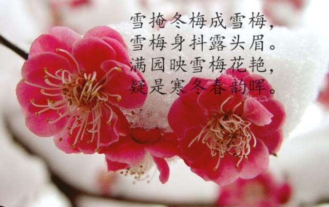 梁园日暮什么飞鸦_梁园日暮乱飞鸦_园日暮乱飞鸦