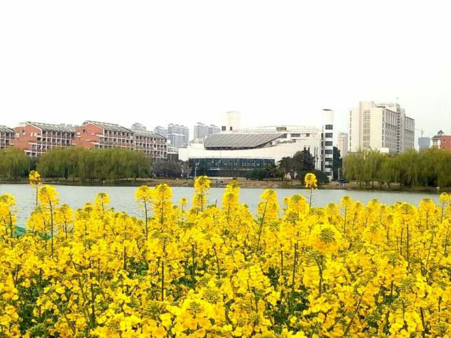 安徽芜湖教育网_安徽省芜湖市教育网_安徽芜湖教育局最新通知