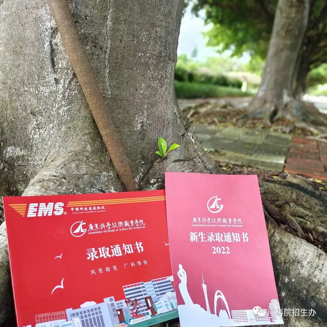 东莞南博职业技术学校专业_东莞南博职业技术学院_东莞南博职业技术学院改名