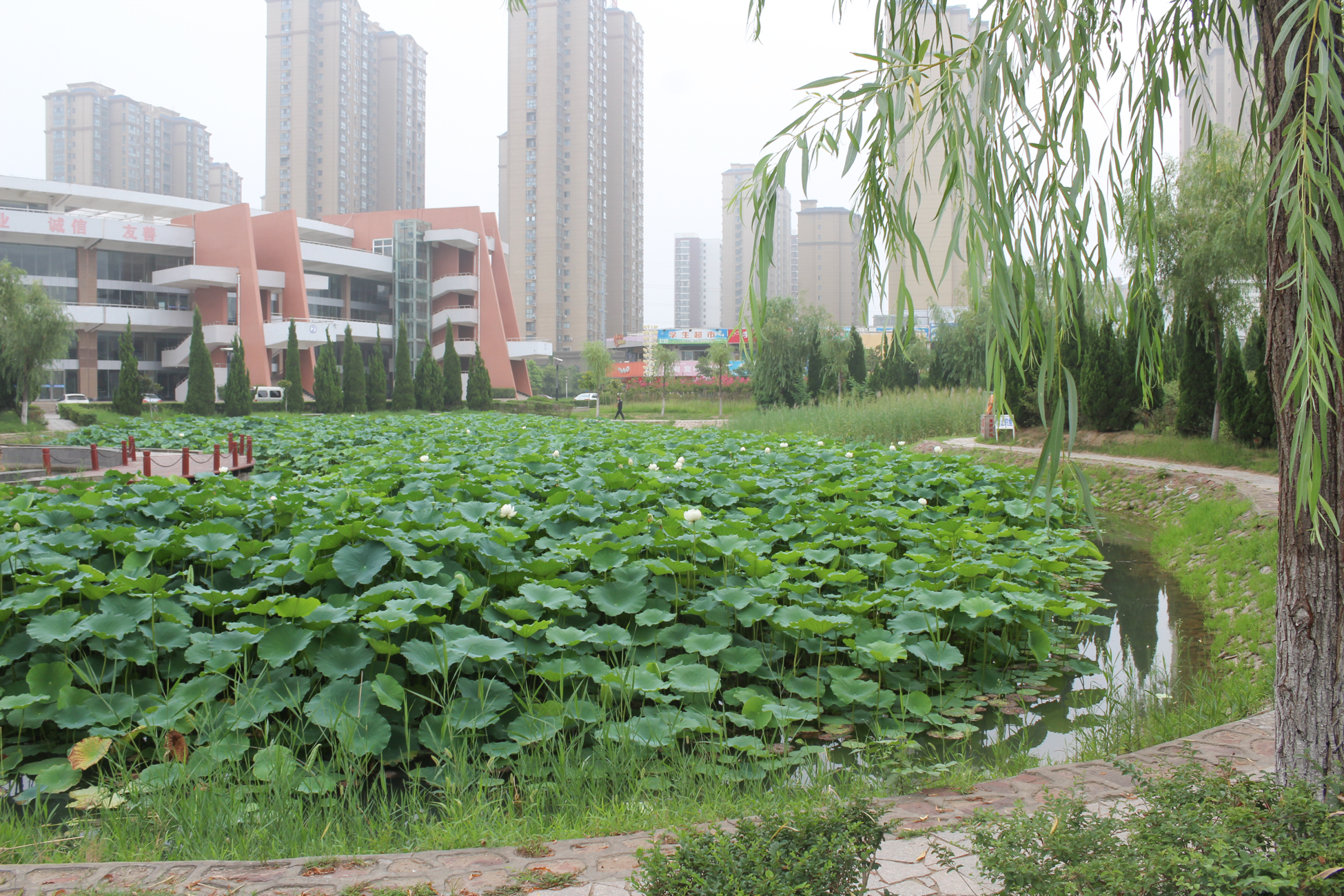 黄河水利职业技术学院水利学院_黄河水利职业学院水利工程_黄河水利职业