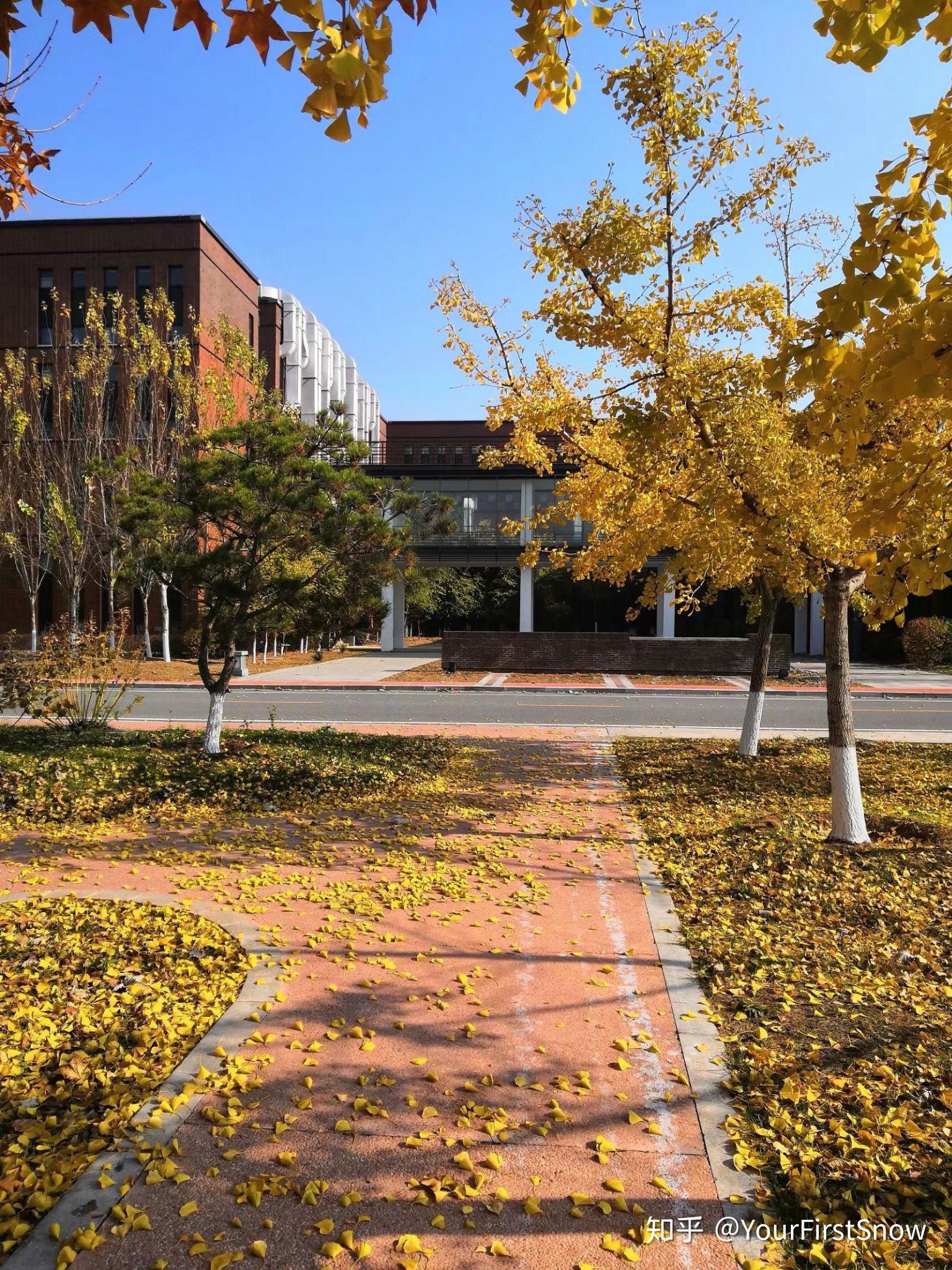 沈阳音乐学院南校区宿舍图片_沈阳音乐学院南院是哪个校区_沈阳音乐学院南校区地址