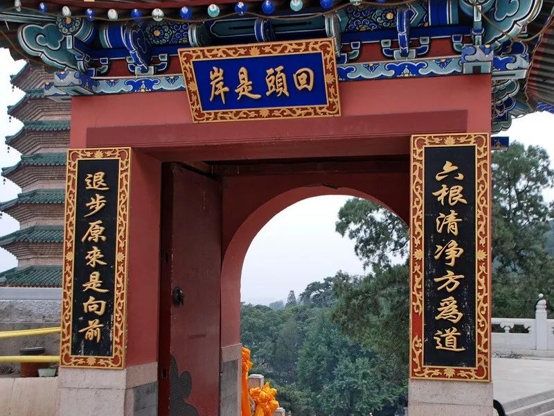 回头是岸岸在哪里_回头是岸的岸是什么_回头是岸前一句