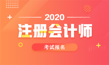 2024年广西注册会计师报考条件_广西注册会计师收费标准_广西注册会计师报名条件和要求