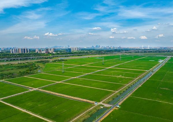 农业科学院什么级别_农业科学院_农业科学院附属小学