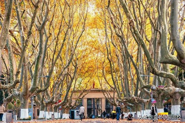 北京女子学院_女子学院北京_北京女子学校属于几本