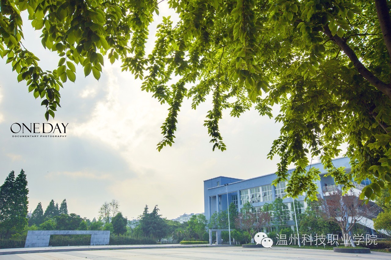 温州职业技术学院网站_温州职业技术学院网络中心_温州职业技术学院校园网