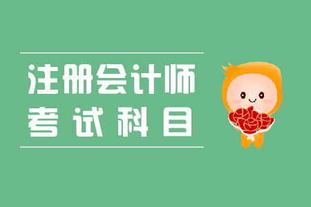 2024年山东注册会计师考试_2021山东注册会计师考试_山东省注册会计考试时间