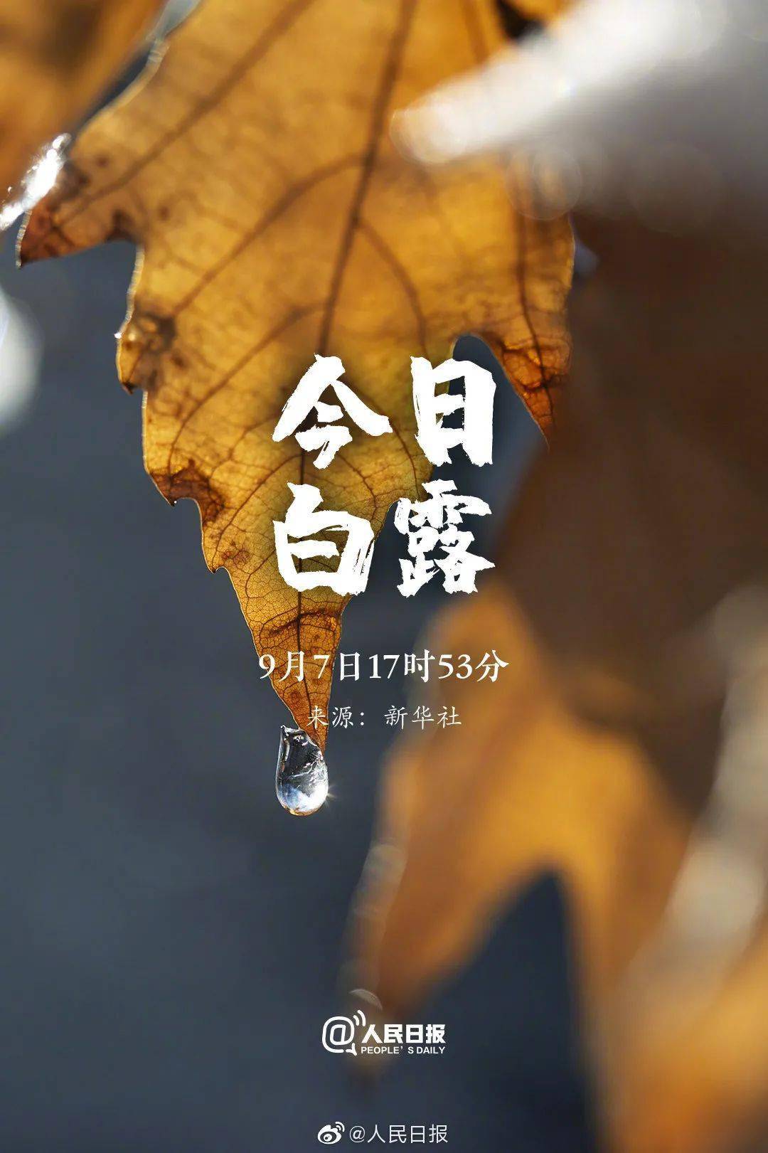 2024年清明时间_清明节2024年是哪一天_2024清明节