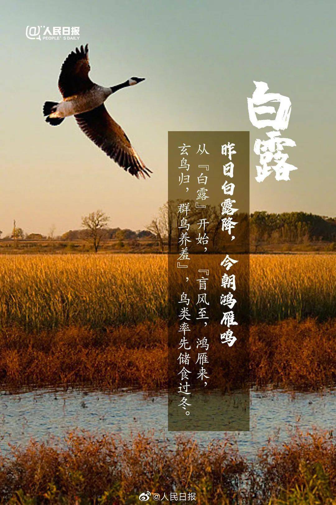 2024清明节_2024年清明时间_清明节2024年是哪一天