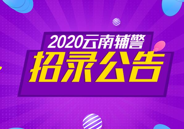 文山事业单位_文山事业单位招聘网_文山事业单位报名入口官网