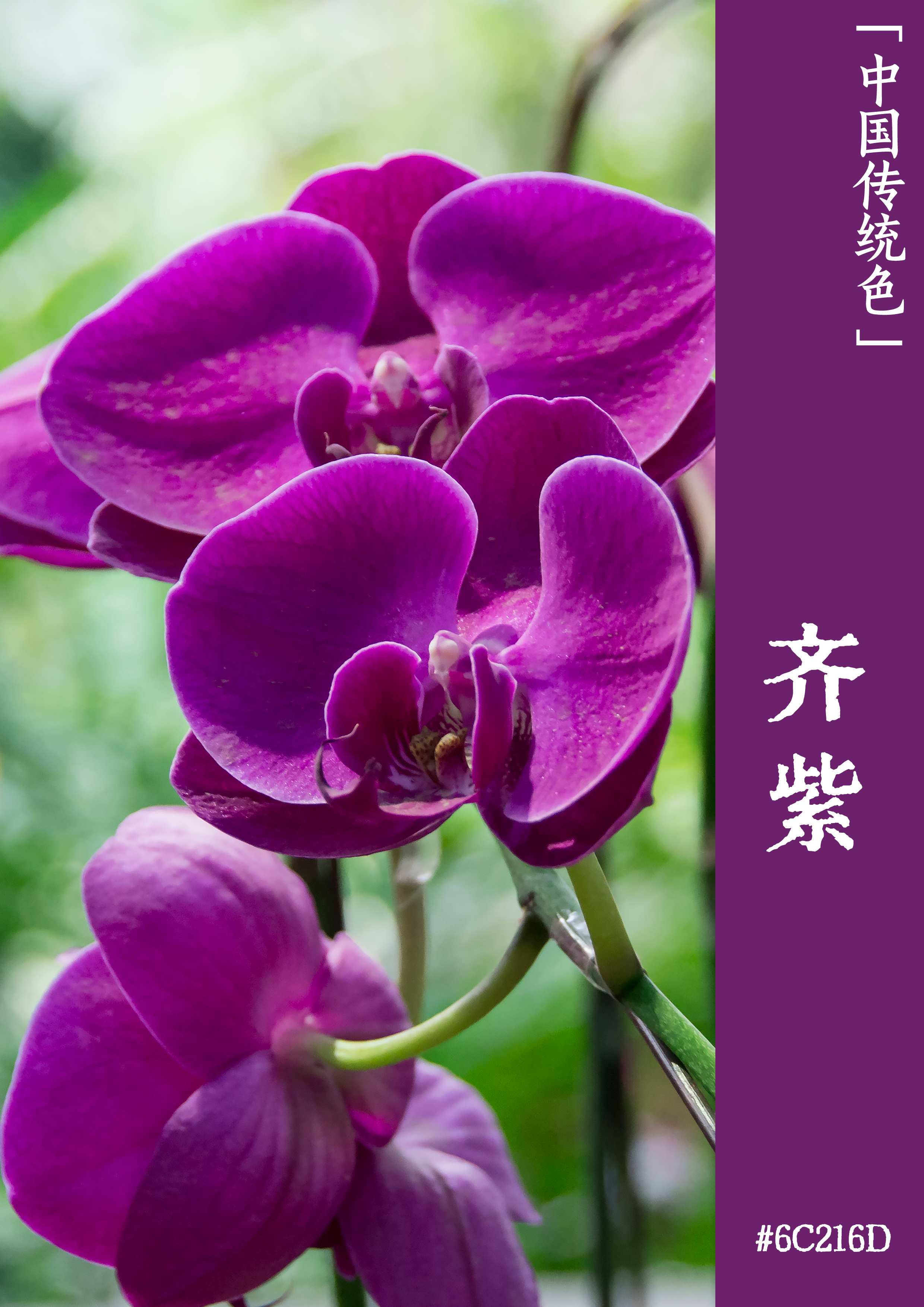 纹绣培训班学费_纹绣培训班学费多少_纹绣培训班价目表