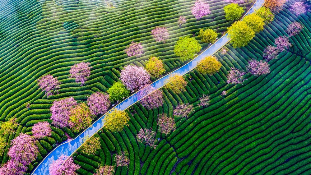 江西大学好还是南昌大学好_江西大学好二本_江西最好的大学