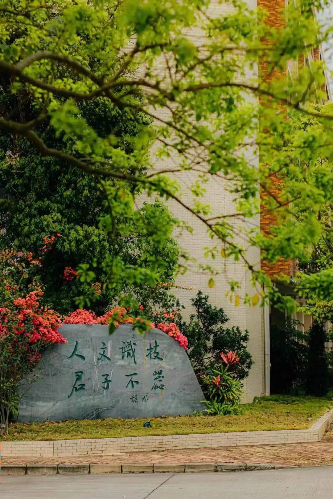2024年湖南安全工程师报考条件_2024年湖南安全工程师报考条件_2024年湖南安全工程师报考条件