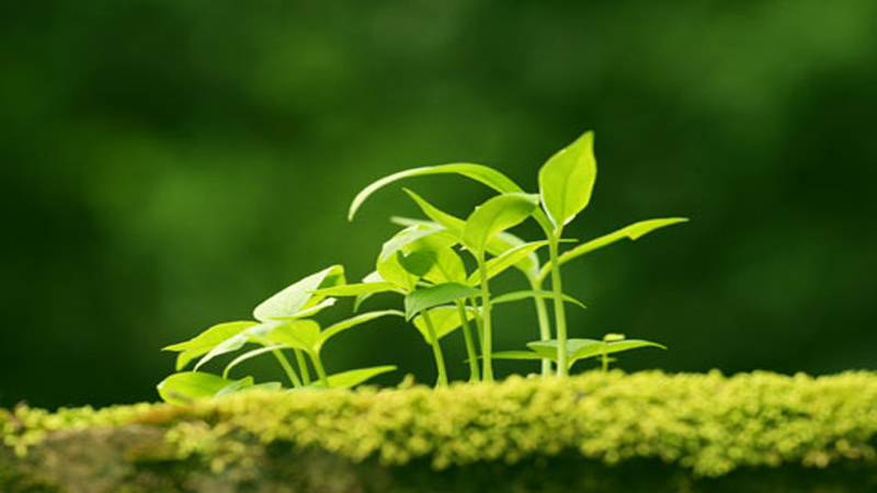 虚拟语气的时态变化_虚拟语气的三种时态_虚拟语气时间表