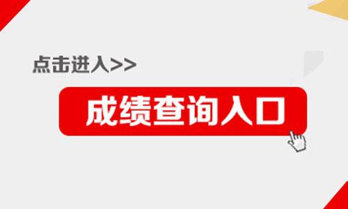 查询单招成绩查询网站_单招生查成绩_单招成绩查询系统