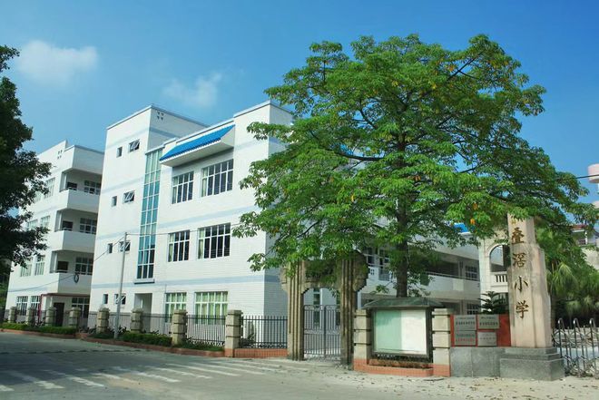 佛山市实验学校中学部_佛山市实验中学_佛山市实验中学为什么改名