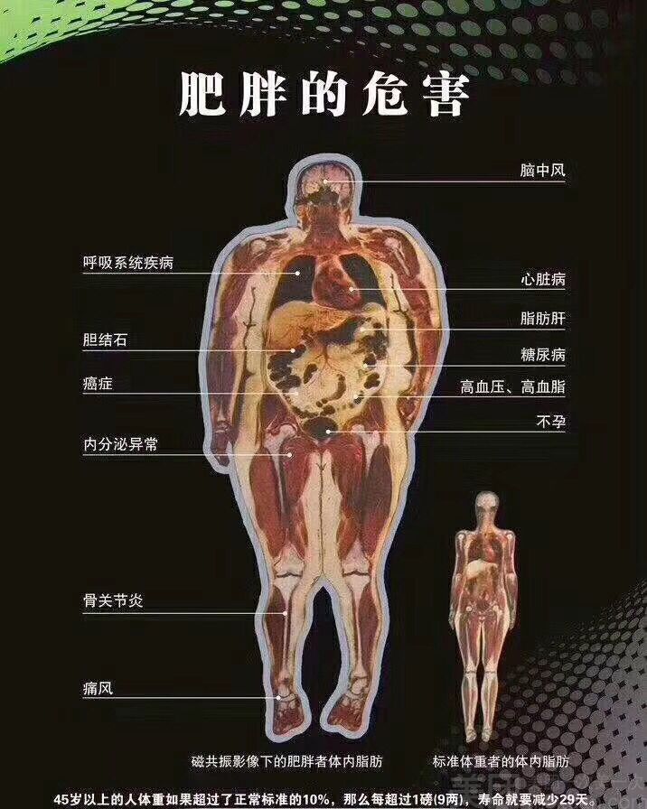 北京精华学校贴吧_北京精华学校全称_北京精华学校