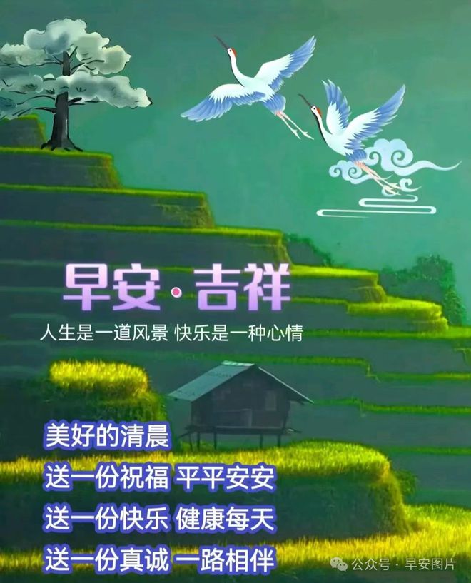 醴陵市青云学校_湖南醴陵青云学校招生情况_醴陵市青云学校2021报名