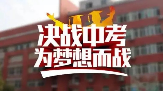 中考录取查询结果是什么样的_录取结果查询中考_中考录取查询结果查询不到