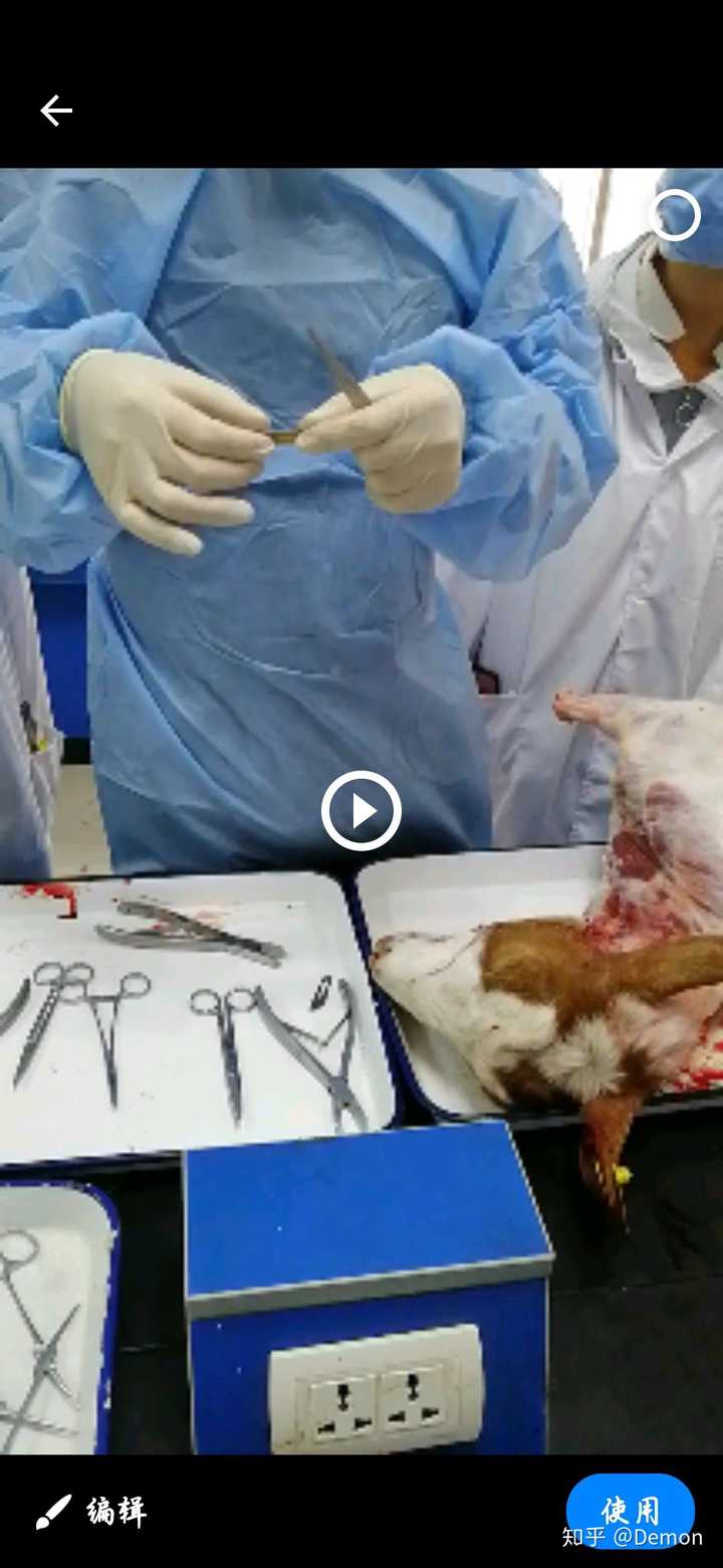 动物科学专业坑死我了_动物科学真的很惨吗_动物科学后悔