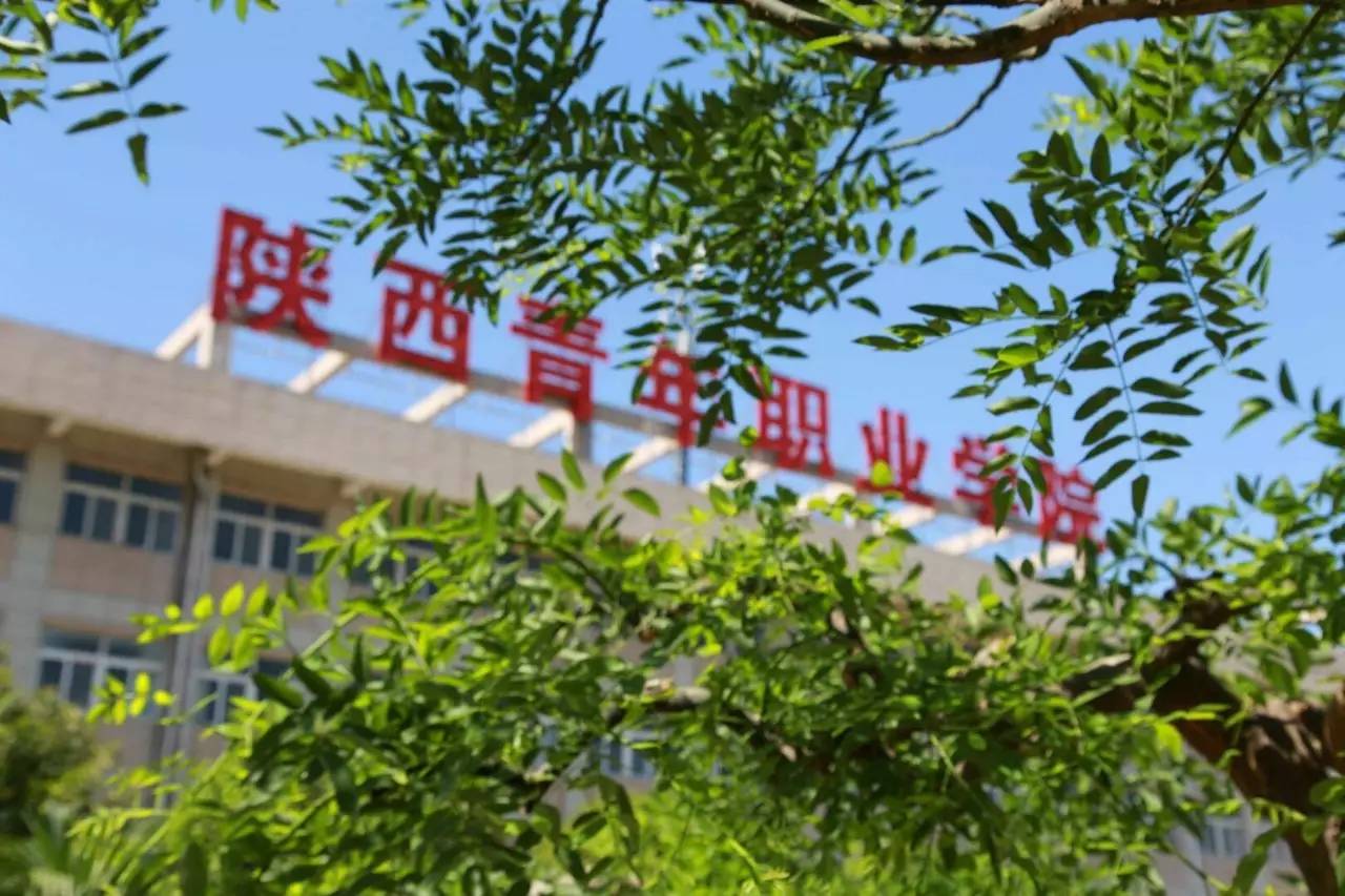 专科录取结果公布时间2021_专科录取公布结果时间是多久_专科录取结果公布时间