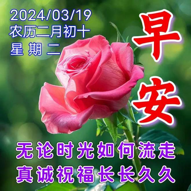 送朋友的祝福语_送语祝福朋友生日快乐_送语祝福朋友的句子