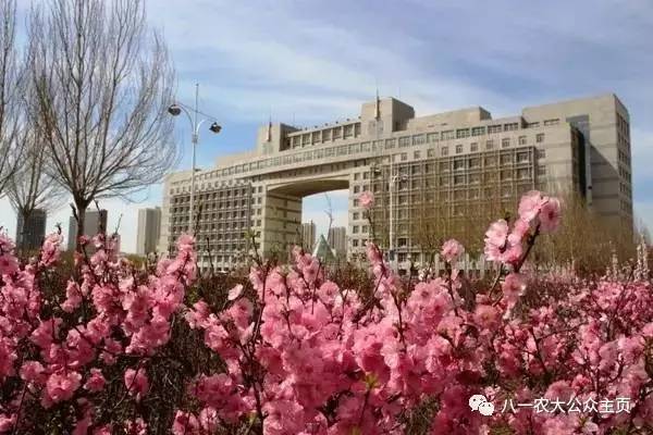 黑龙江八一农垦大学官网录取_2024年黑龙江八一农垦大学录取分数线_黑龙江81农垦大学录取分数线