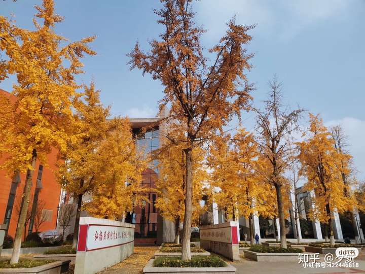 上海医科大学继续教育_上海中医药大学继续教育学院_上海医药职工大学继续教育学院