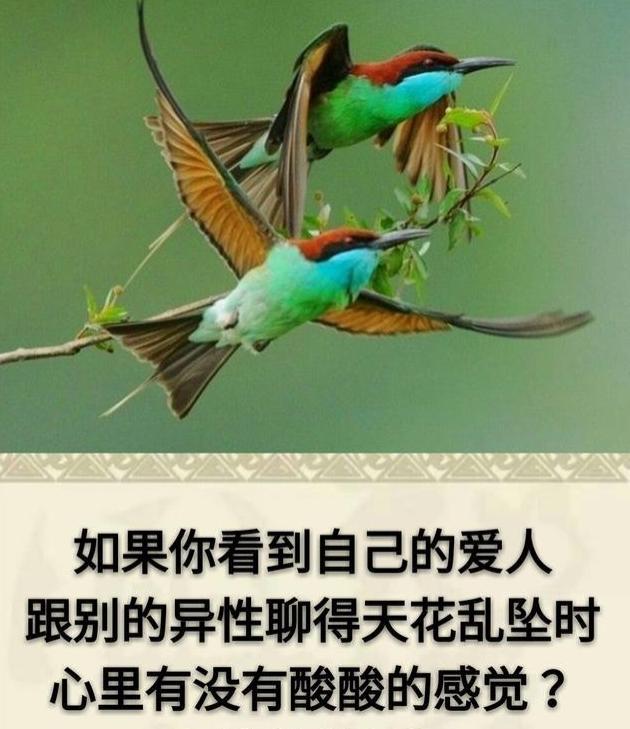 挽回说说爱情的句子_挽回爱情的说说_挽回爱情句子