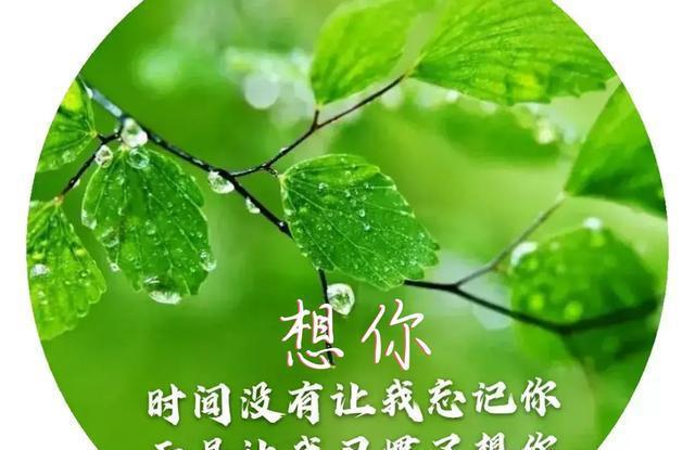 挽回爱情句子_挽回说说爱情的句子_挽回爱情的说说