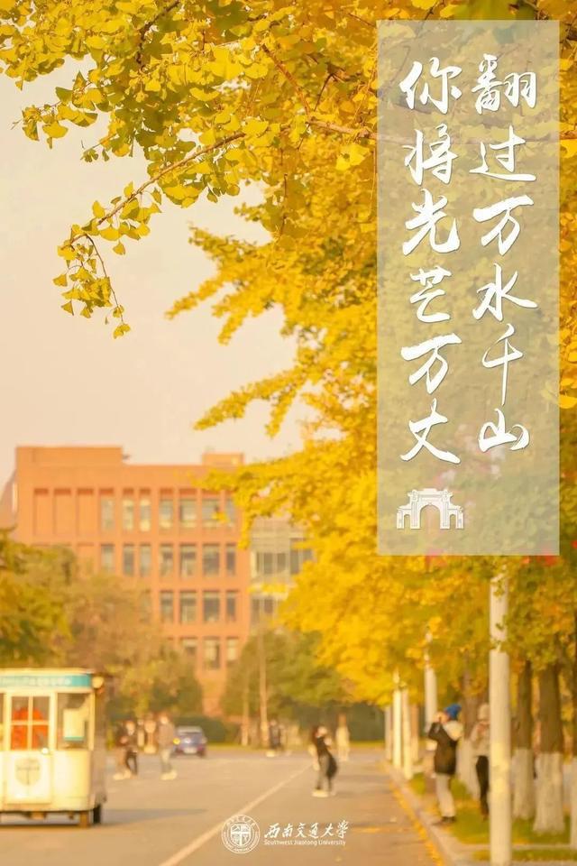 教务管理四川大学_四川教务平台_四川大学本科教务系统登录