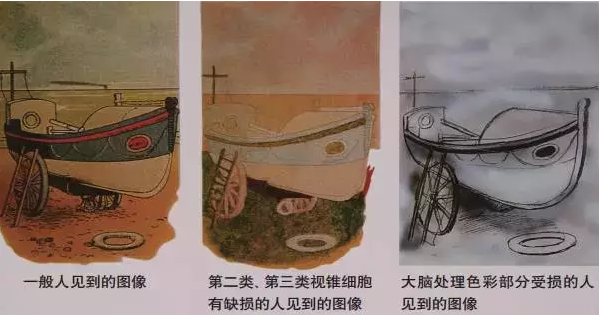 色弱高考可以报考的专业都有哪些_色弱可以参加高考吗_高考色弱可报考的专业