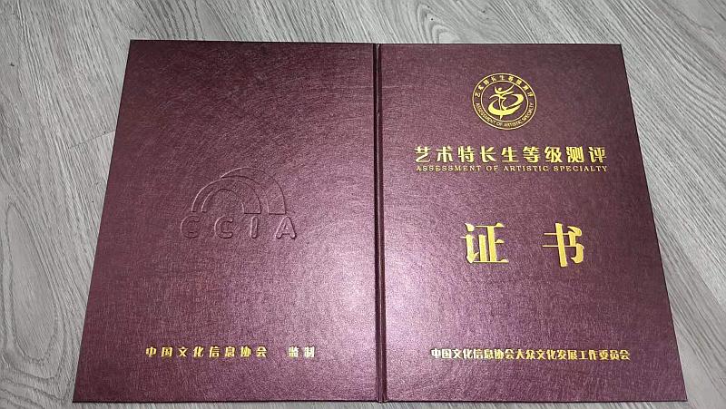 美术权威承认国家有考级证书吗_美术权威承认国家有考级权吗_国家承认的美术考级 哪个有权威