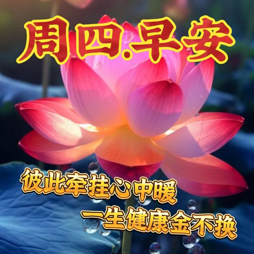 新年快乐的英文怎么写_用英文写新年快乐_新年快乐英浯