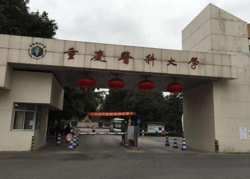 上海海关高等专科学校分数线_2023年上海海关高等专科学校录取分数线_2023年上海海关高等专科学校录取分数线