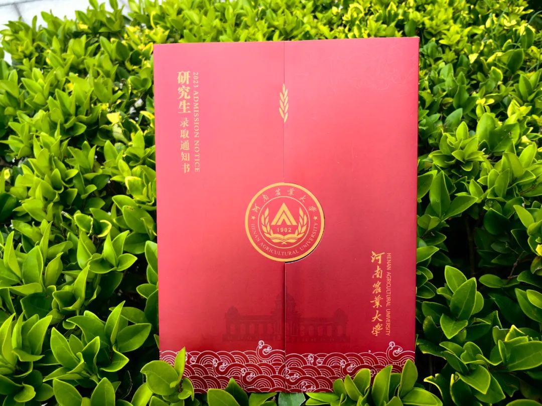 2020年农大研究生分数线_2023年中国农大研究生院录取分数线_研究生农学分数线