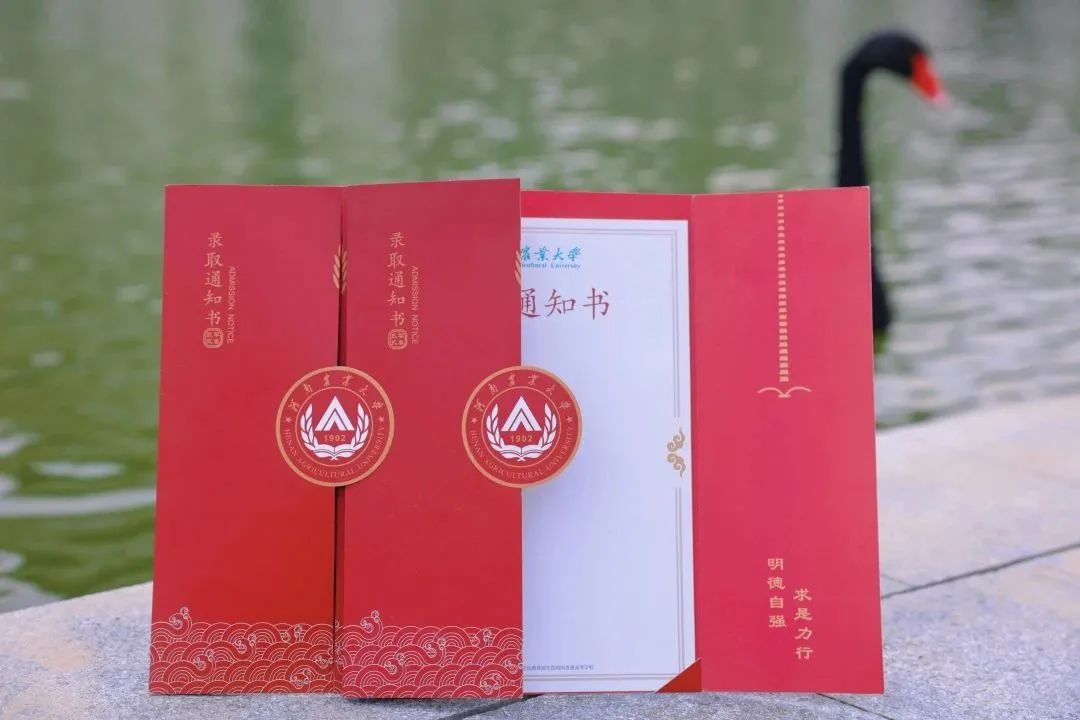2023年中国农大研究生院录取分数线_研究生农学分数线_2020年农大研究生分数线