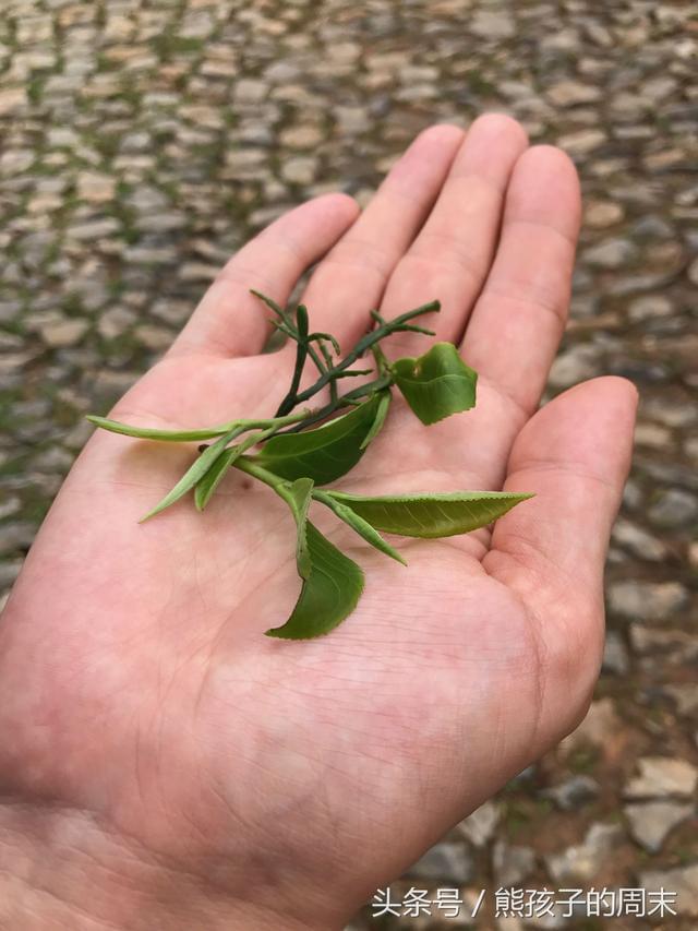人迹罕至的近反义词_人迹罕稀的近义词_人迹罕至的近义词
