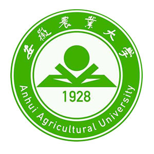 石油大学录取线是多少_中国石油大学录取线_中国几所石油大学分数
