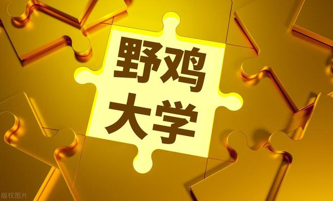 野鸡大学叫什么_什么叫野鸡大学_“野鸡”大学