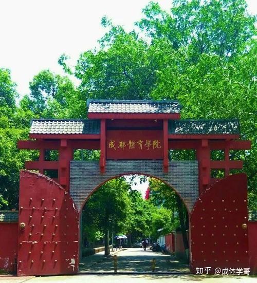 成都体育学院教务处处长_成都体育学院教务处官网_成都体育学院教务处