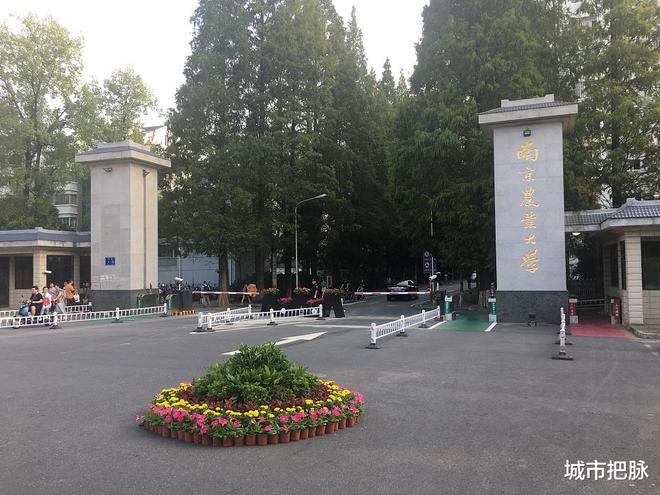 安徽省大学排名_安徽省的大学排行榜_安徽省内排名大学