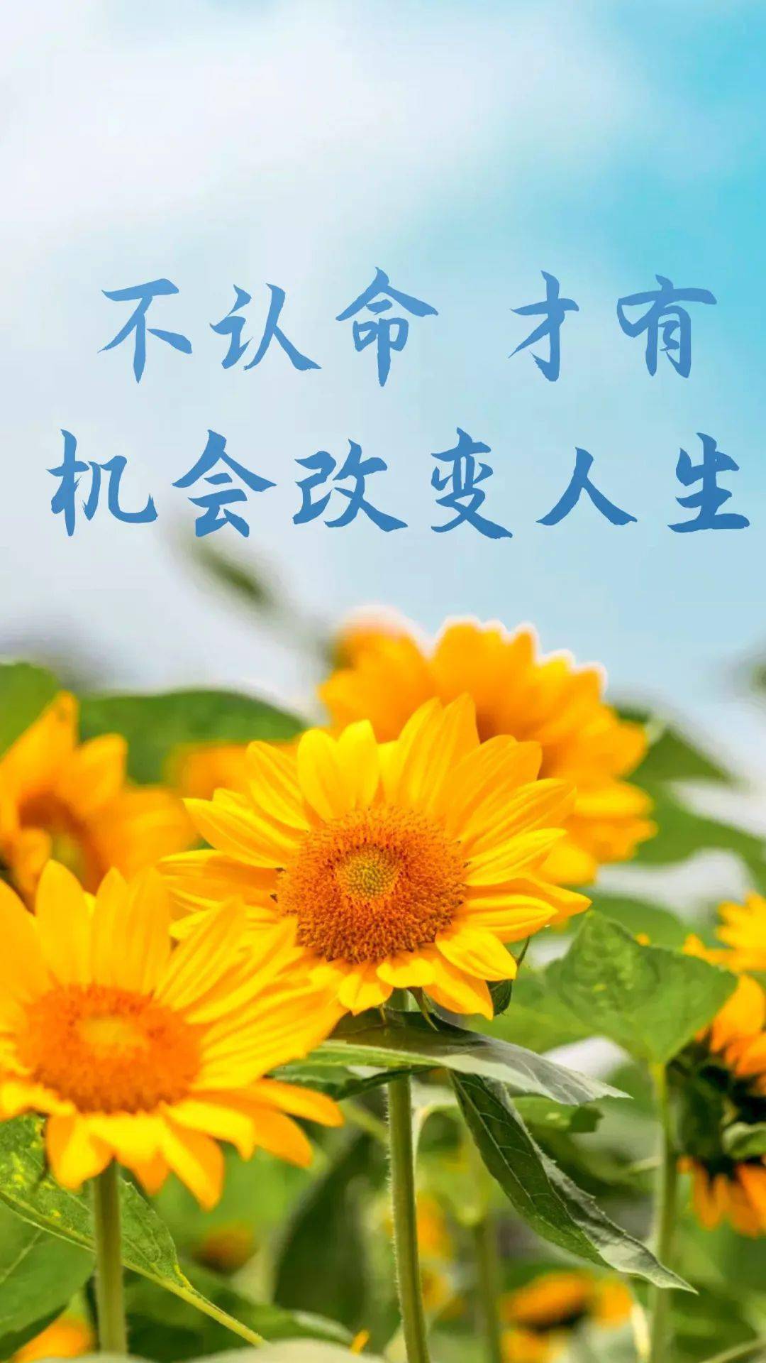 德州学院怎么样_徳州学院_德州学院百科