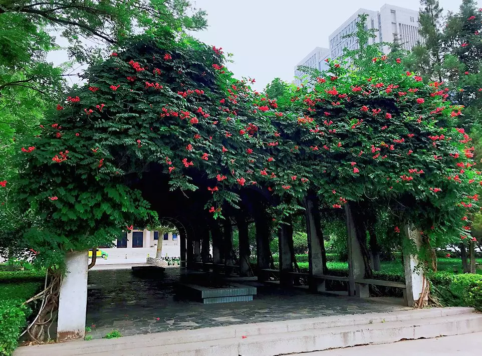 承德医学院2020录取结果_承德医学院录取位次_承德医学院2024年录取分数线